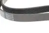 Ремень генератора VW LT 2.5TDI -06/T4 2.5 91-03/Ford Connect 1.8 TDCi 02-07/ Opel Astra 1.7 07- BLUE PRINT AD06R1718 (фото 3)