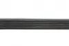 Ремень генератора Fiat Scudo 1.6/ Renault Kangoo 1.9D 97-/ VW Golf/ Passat 1.6-2.0 90-02 (6PK894) BLUE PRINT AD06R894 (фото 2)