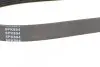 Ремень генератора Fiat Scudo 1.6/ Renault Kangoo 1.9D 97-/ VW Golf/ Passat 1.6-2.0 90-02 (6PK894) BLUE PRINT AD06R894 (фото 3)