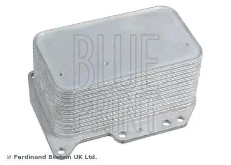 RENAULT масляний радіатор Koleos I,II,Master III,Trafic II,Opel Movano B,Vivaro,Nissan 2.0/2.3dCi 06- BLUE PRINT ADBP610008