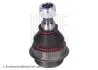 Опора кульова (передня) Citroen Jumpy/Peugeot Expert 16- (M14x1.5) BLUE PRINT ADBP860108 (фото 1)