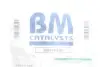 Фільтр сажевий Ford Transit 2.2 TDCi 07-14 (Євро 4) BM CATALYSTS BM11045H (фото 2)