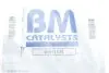 Сажевый фильтр BM CATALYSTS BM11175 (фото 2)