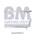 Автозапчасть BM CATALYSTS BM50566 (фото 1)