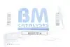 Катализатор BM CATALYSTS BM80357H (фото 2)