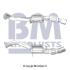 Каталізатор BM CATALYSTS BM80546H (фото 1)