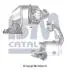 Автозапчасть BM CATALYSTS BM80602H (фото 1)