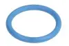 Прокладка термостата EGR 3 (E36/E46)/5 (E60/E61) (19x2.5mm) (кільце) BMW 11532248435 (фото 1)