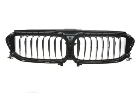 Решетка радиатора 5 (G30) 16-(жалюзи)) BMW 51137497281