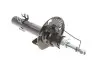 Амортизатор (передний) Audi A1/Seat Ibiza/VW Polo 08- BOGAP A3410104 (фото 1)
