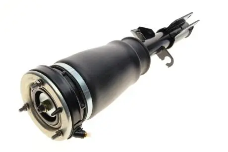 Подушка пневмоподвески (спереди) BMW X5 (E53) 00-06 (R) BOGAP B3426101