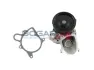 Помпа води BMW 3 (E90/E91/E92) 06-13/X3 (E83) 04-10 BOGAP B4234123 (фото 1)