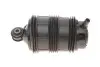 Подушка пневмоподвески.) MB E-class (W211) 03- (L) BOGAP C3432101 (фото 7)