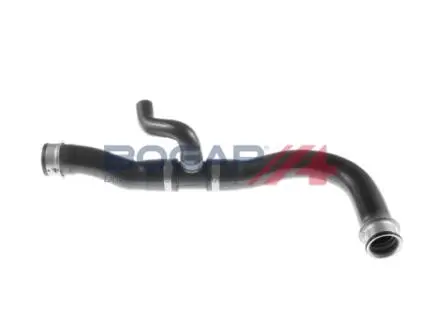 Патрубок системи охолодження MB E-class (W211/S211) 02-09 (R) (нижній) BOGAP C4228163