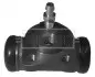 Цилиндр BORG & BECK BBW1487 (фото 1)
