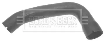 Шлангопровід BORG & BECK BTH1038
