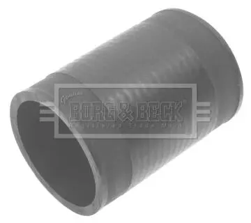 Шлангопровід BORG & BECK BTH1399