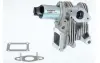 Клапан EGR RENAULT GRAND SCENIC II, LAGUNA II, MEGANE II, SCENIC II 1.9D 11.02- BorgWarner 710959D1 (фото 1)