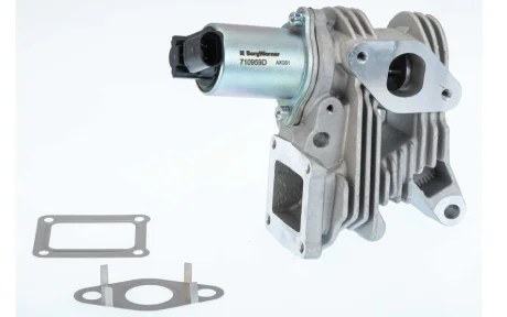 Клапан EGR RENAULT GRAND SCENIC II, LAGUNA II, MEGANE II, SCENIC II 1.9D 11.02- BorgWarner 710959D