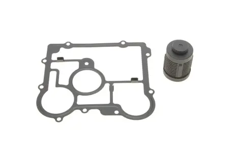 Фільтр масляний дифференціал + прокладка Opel Insignia A/B/Saab 9-3 07- (VI Generation) BorgWarner DS2006273