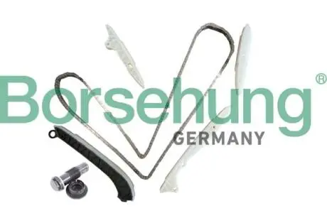 Комплект ланцюга ГРМ Borsehung B10238