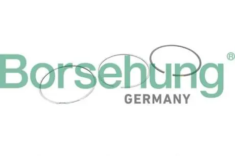 Кольца поршневые VW Passat/Golf 2.0FSI 04-14 (82.51mm/STD) (1.2-1.5-2) Borsehung B10368