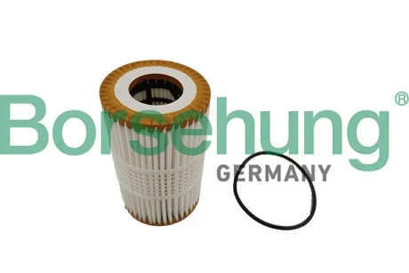 Фільтр оливний Borsehung B10448