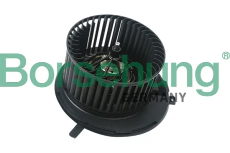 Циліндр зчеплення Borsehung B10937