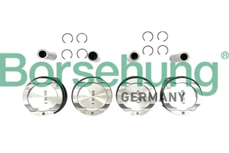 Фото 1 - автозапчасть Borsehung B11136 Автозапчасть Borsehung B11136 (фото 1)