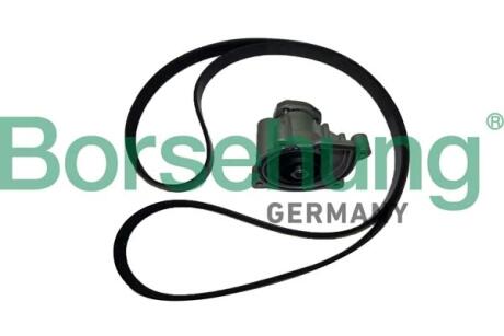 Автозапчасть Borsehung B11215