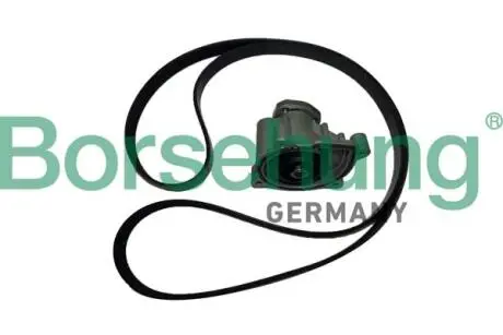Автозапчасть Borsehung B11215