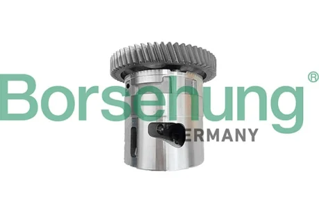 Маслонасос Borsehung B11905