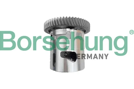 Помпа оливи Borsehung B11906
