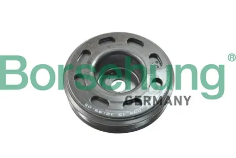 Автозапчасть Borsehung B12079