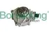 Насос вакуумный BMW 1(E81/E87)/3(E90) 07-13 (N43) Borsehung B12222 (фото 1)
