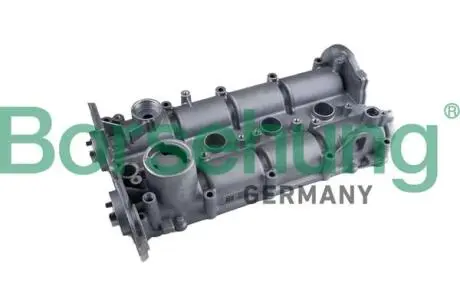 Комплект кулачкового вала Borsehung B12392