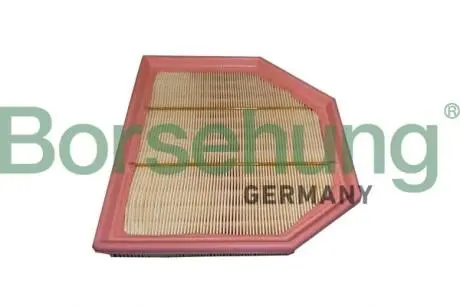 Автозапчасть Borsehung B12454