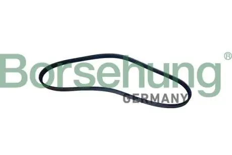 Автозапчасть Borsehung B12496