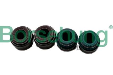 Автозапчасть Borsehung B12534