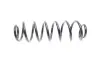 Пружина (задня) Skoda Superb II 1.4-2.0TSI/1.6-2.0TDI 08-15/VW Golf V 07-09 (унів) (OE VAG) Borsehung B12624 (фото 4)