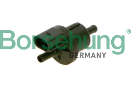 Клапан зворотнiй Borsehung B12932