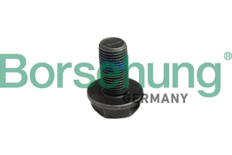 Болт Borsehung B12999