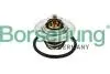 Термостат VW T5/Caddy/Passat 1.6/2.0i 03-15 (від 87-102 ° C) (OE VAG) Borsehung B13140 (фото 1)