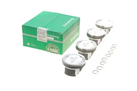 Поршень Audi A3/A4/VW Passat/Caddy 1.6 96-10 (к-кт 4шт).) Borsehung B16955