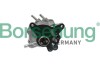 Механічний вакуумний насос VW GOLF/JETTA/PASSAT/TOURAN 2,0TDI 03-13 Borsehung B17906 (фото 1)