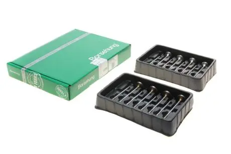 Клапан (впуск/випуск) VW Crafter 2.0TDI 11-/T5 2.0TDI 09- (к-кт 16шт.) (OE VAG) Borsehung B18629