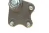Опора шаровая (передняя/R) VW Polo/Skoda Fabia 1.0-2.0 99- Borsehung B18694 (фото 4)