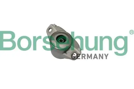Амортизатор bearing Borsehung B19062