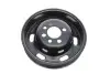 Шків колінвалу VW Caddy III 1.6 BiFuel 04-15 (OE VAG) Borsehung B19121 (фото 2)