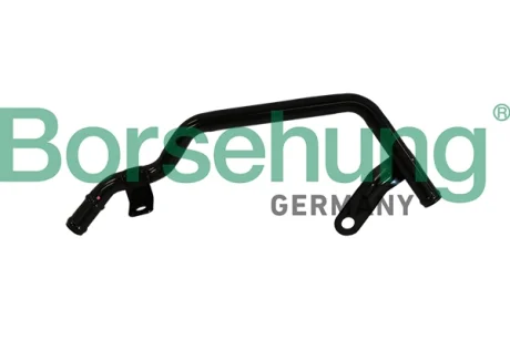 Патрубок системи охолодження Borsehung B19222